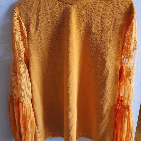 Plus Size High Neck Lace Bishop Sleeve Top - Picture 7 of 9